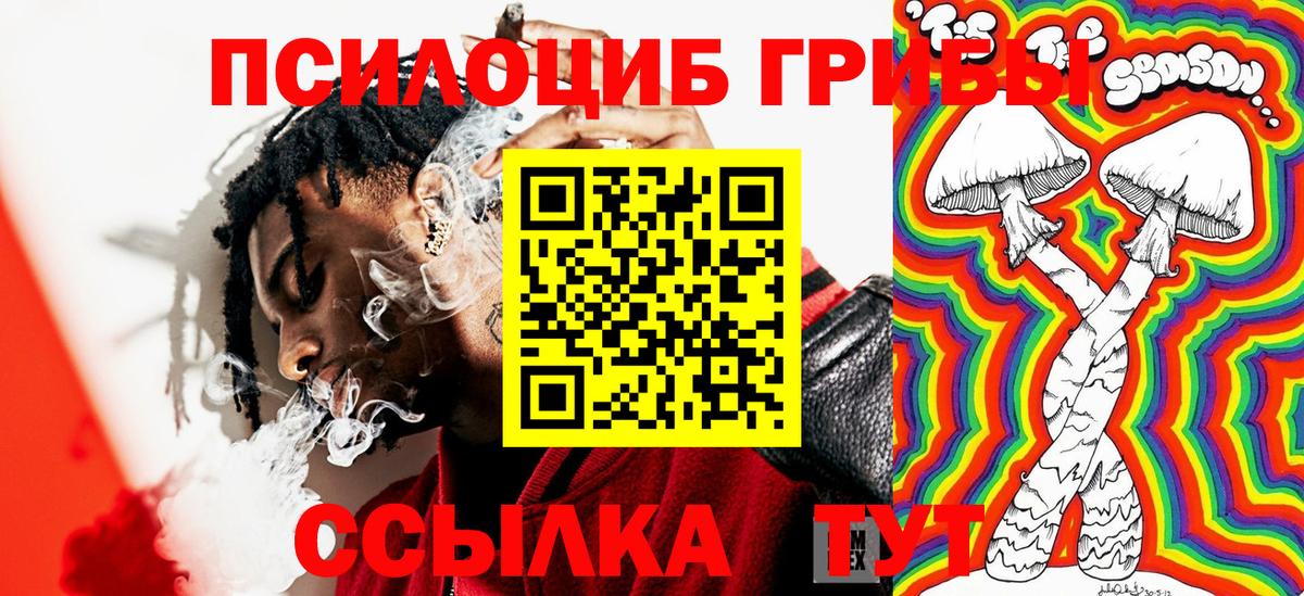 Галлюциногенные грибы GOLDEN TEACHER Рузаевка